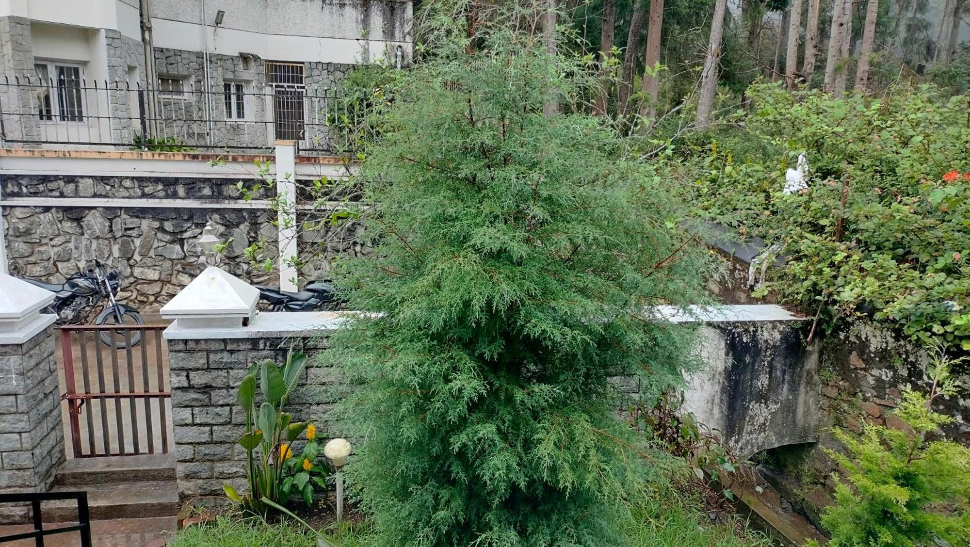 Kodai King Suite Kodaikanal Eksteriør bilde