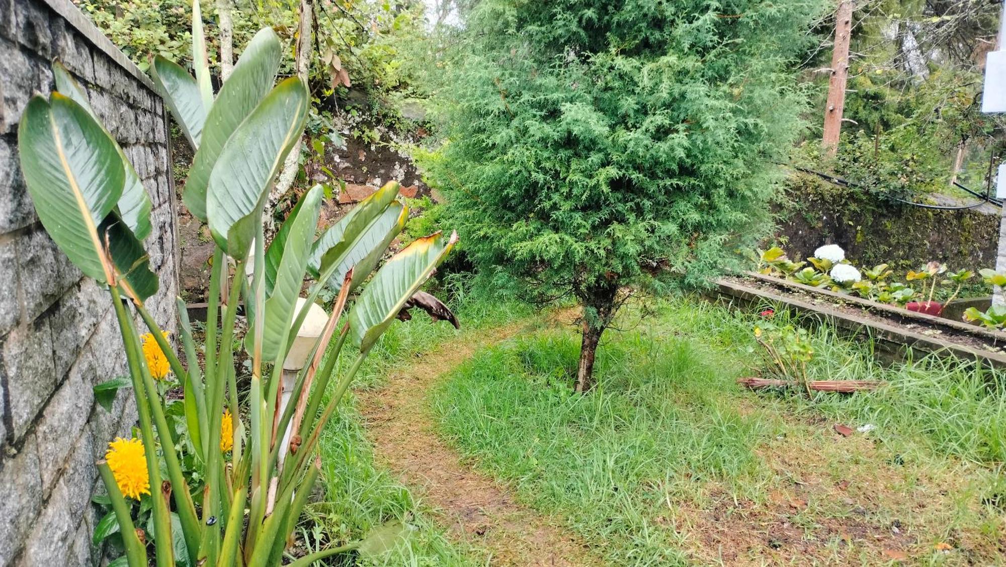Kodai King Suite Kodaikanal Eksteriør bilde